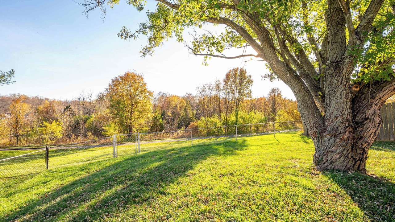Photo of Outdoor in Elsmere