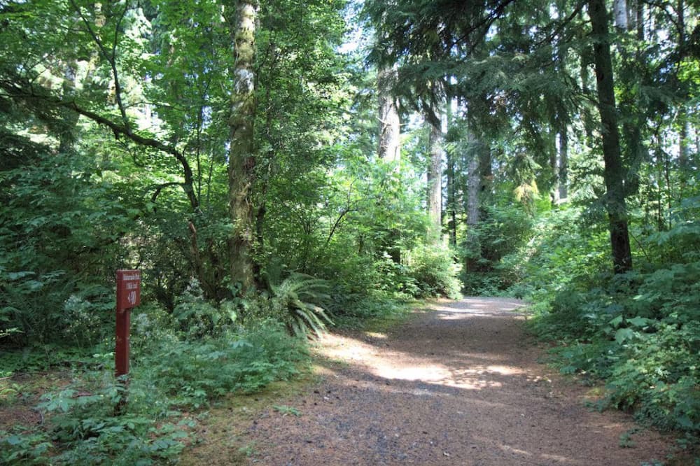 Photo of Others in Aberdeen