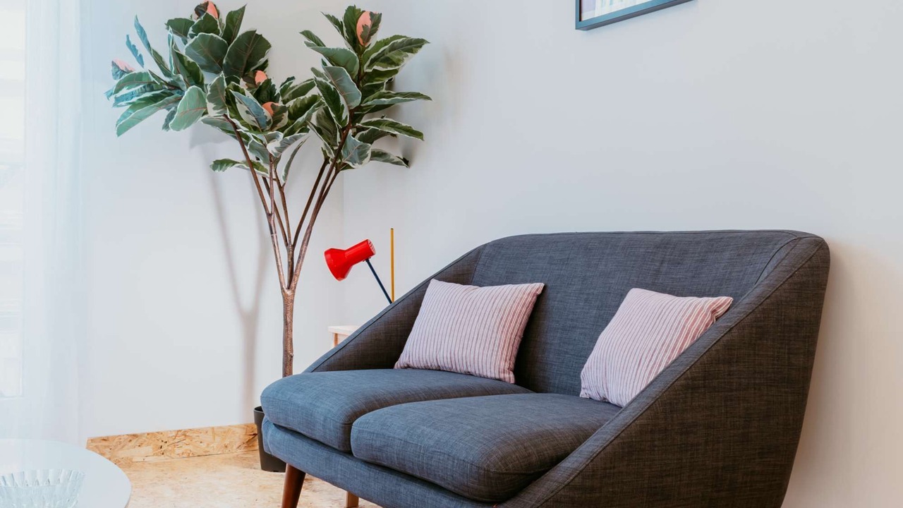 Photo of Others in Downtown Le Havre