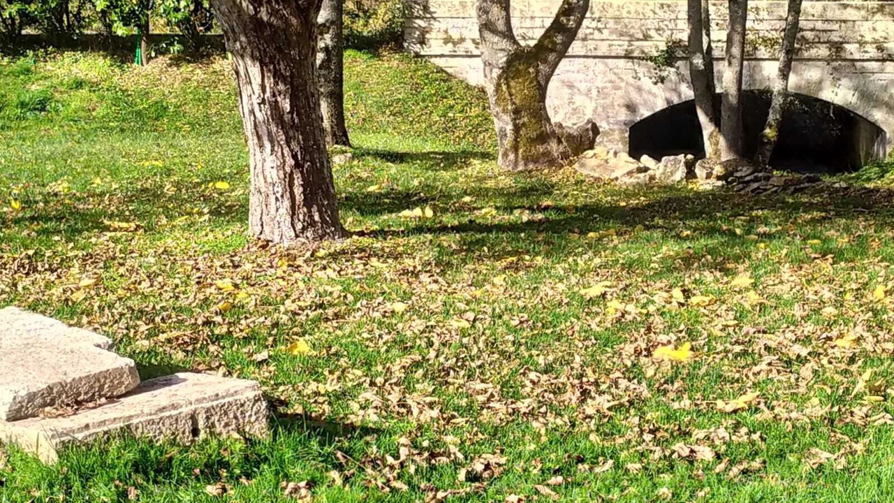 Photo of Outdoor in Bellenot-sous-Pouilly