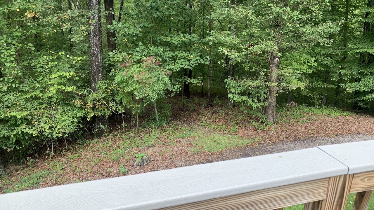 Photo of Outdoor in Mechanicsville