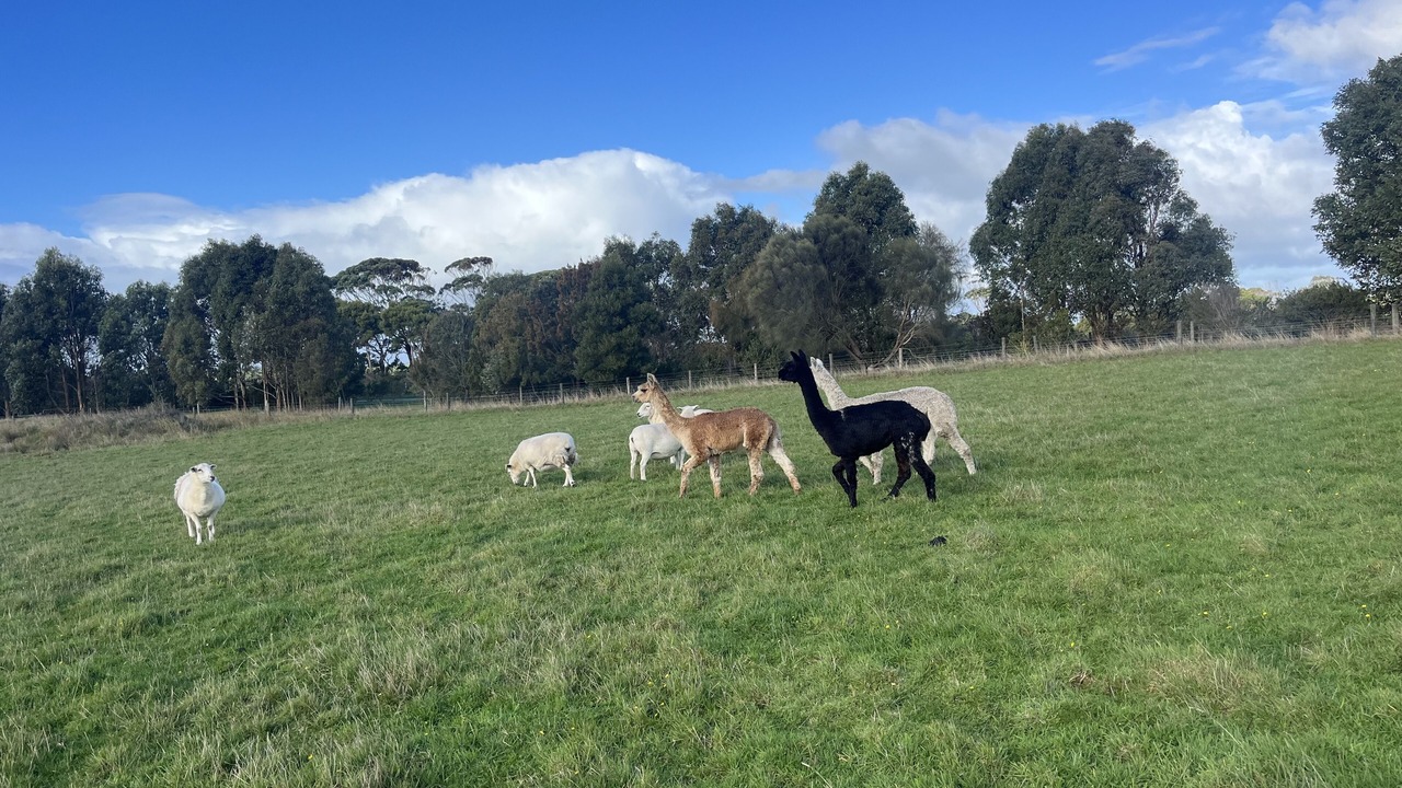Photo of Others in Fish Creek