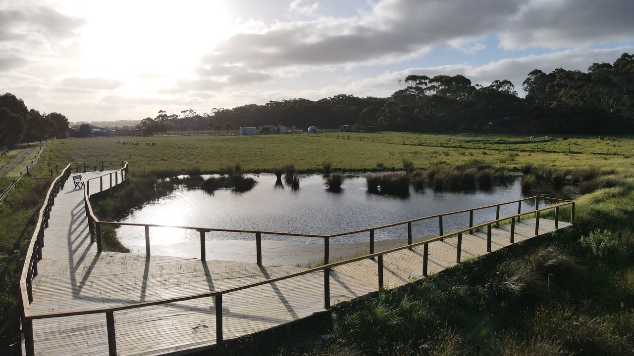 Photo of Others in Fish Creek