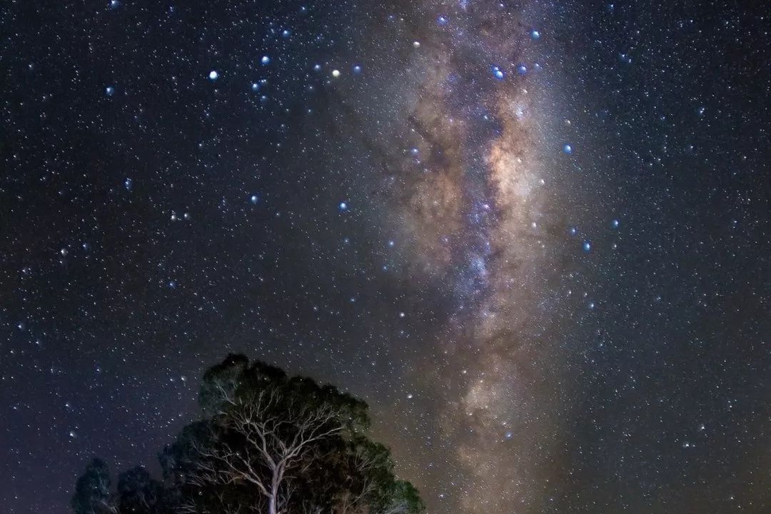 Photo of Others in Fish Creek