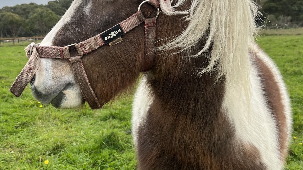 Photo of Outdoor in Fish Creek