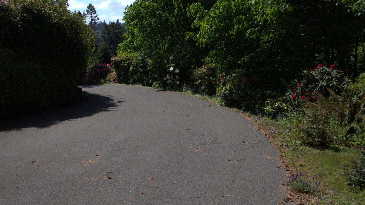 Photo of Outdoor in North Bend