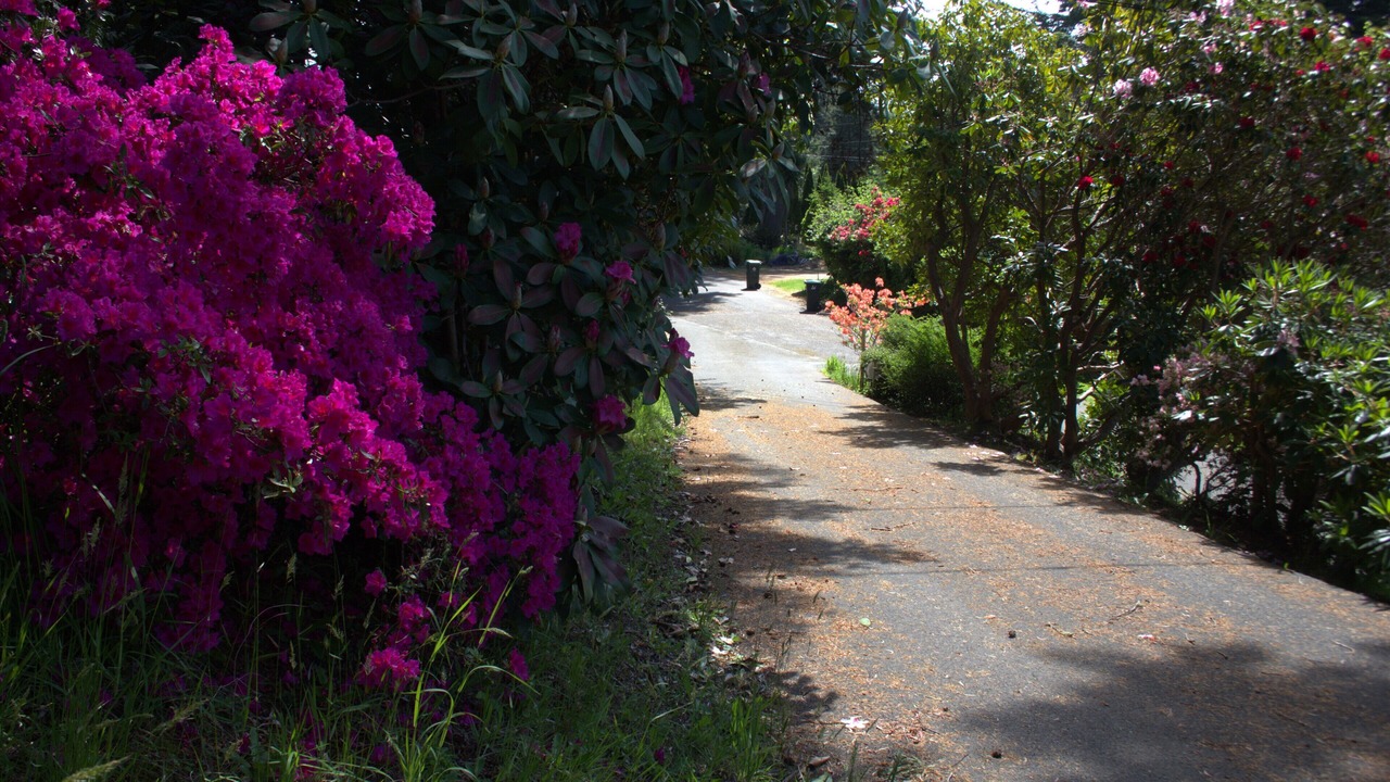 Photo of Outdoor in North Bend