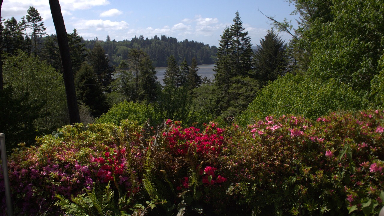 Photo of Outdoor in North Bend