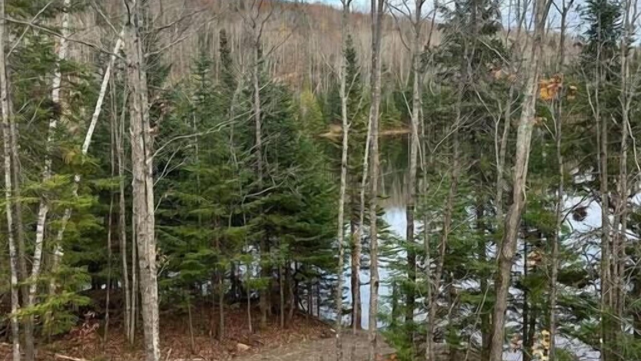 Photo of Outdoor in Saint-Alexis-des-Monts