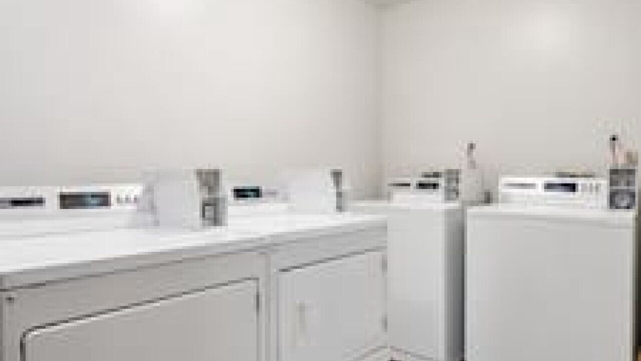 Photo of Others in Ramsay