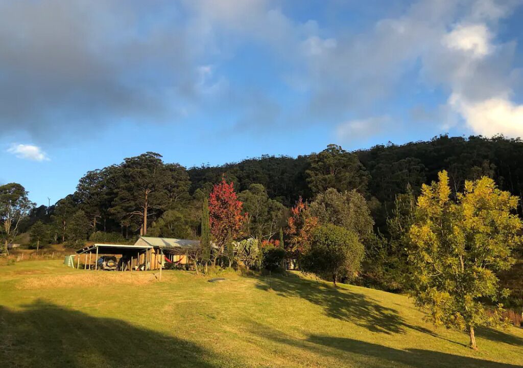 Photo of Others in Elands