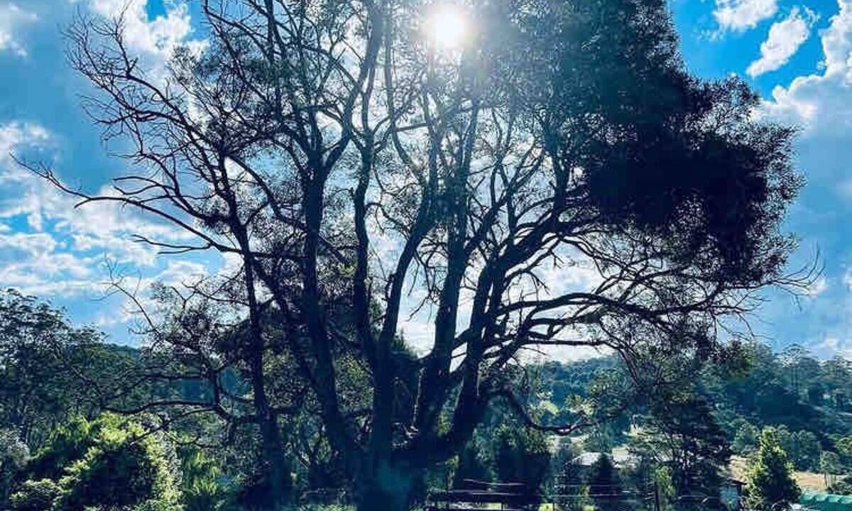 Photo of Outdoor in Elands