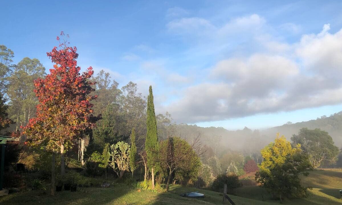 Photo of Outdoor in Elands