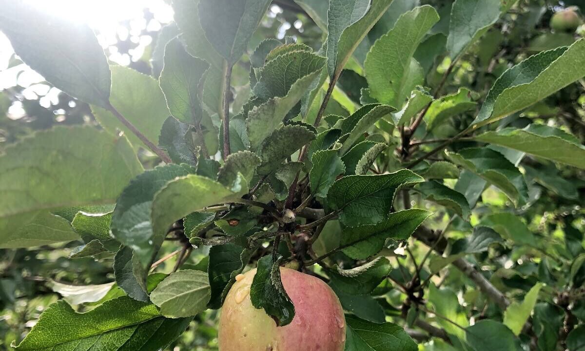 Photo of Outdoor in Elands