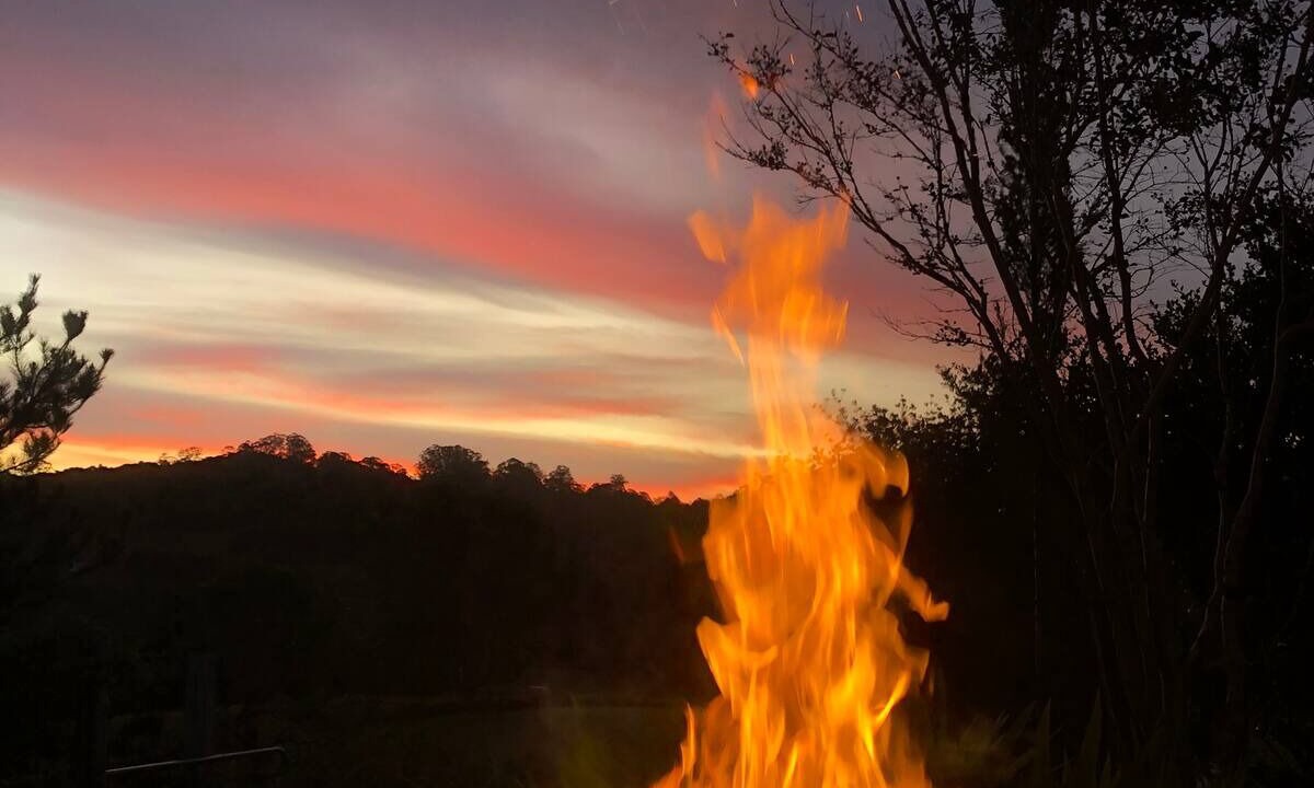 Photo of Others in Elands