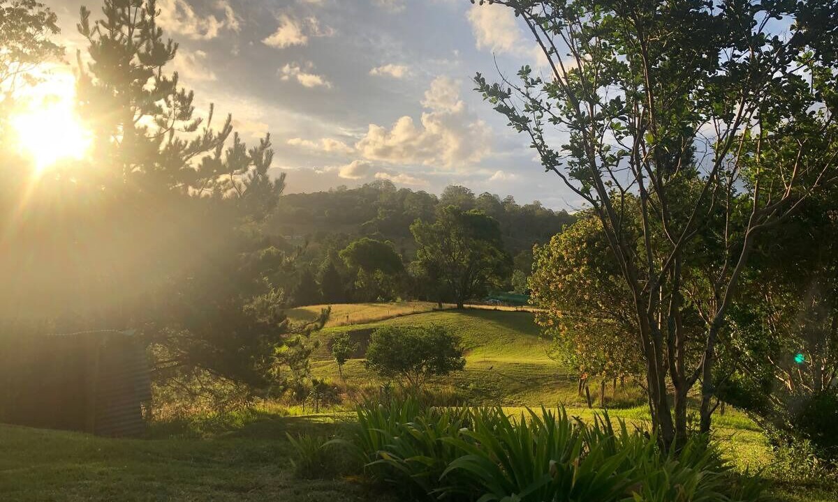 Photo of Others in Elands