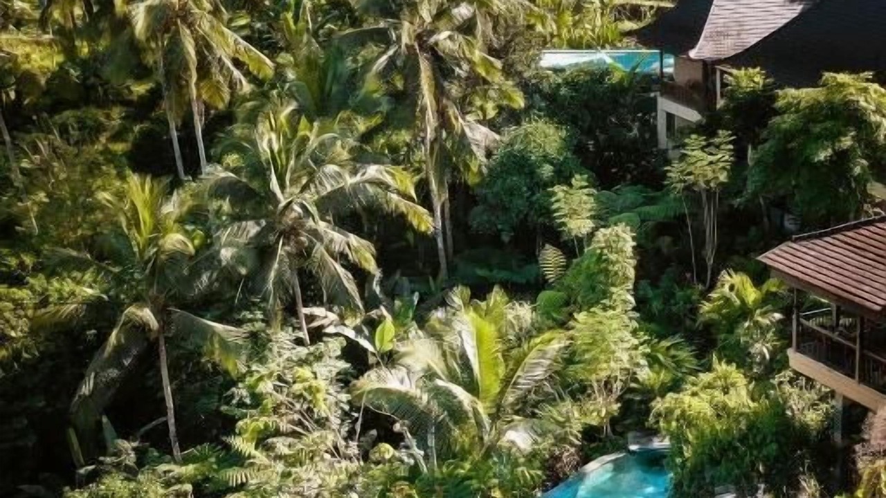 Photo of Outdoor in Sebatu