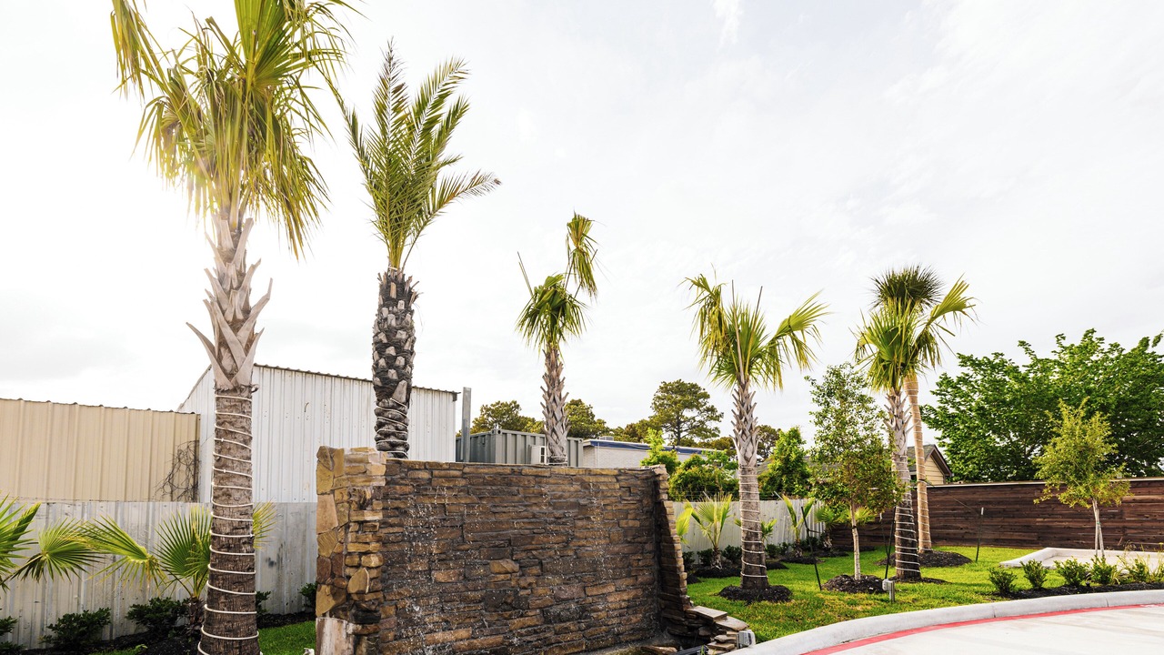 Photo of Outdoor in Southeast Houston