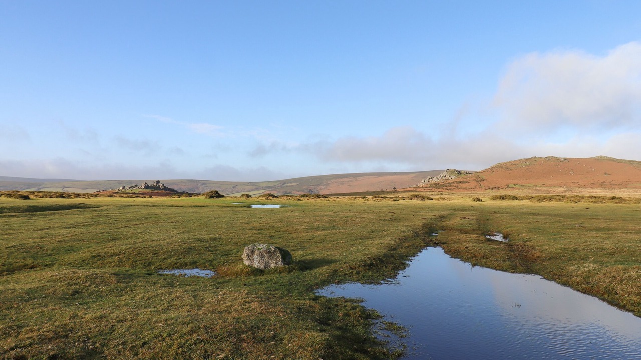 Photo of Others in Chagford