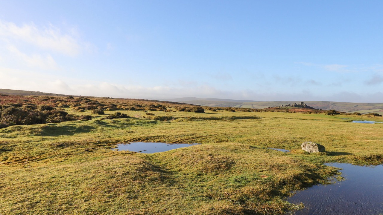 Photo of Outdoor in Chagford