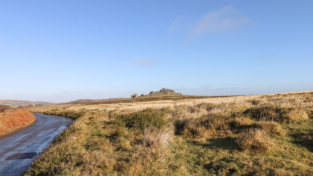 Photo of Others in Chagford