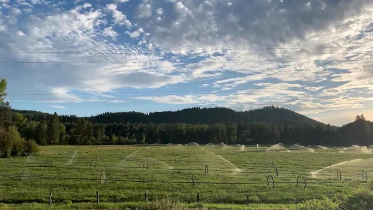 Photo of Others in Cle Elum