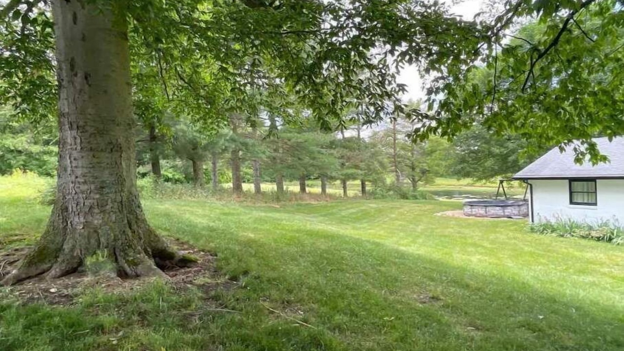 Photo of Outdoor in Middleburg