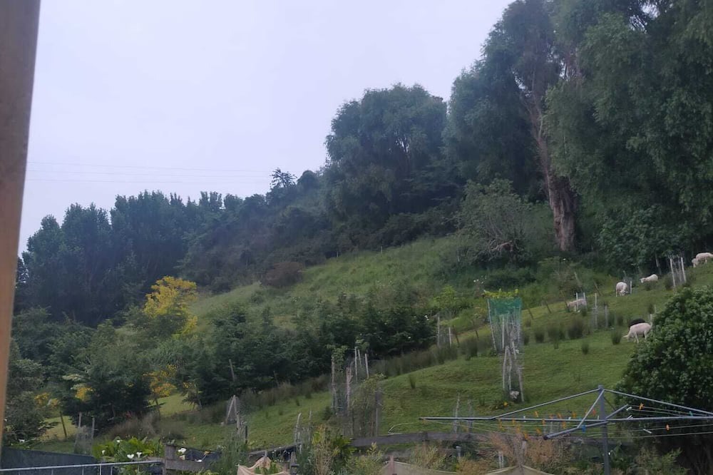 Photo of Outdoor in Whanganui