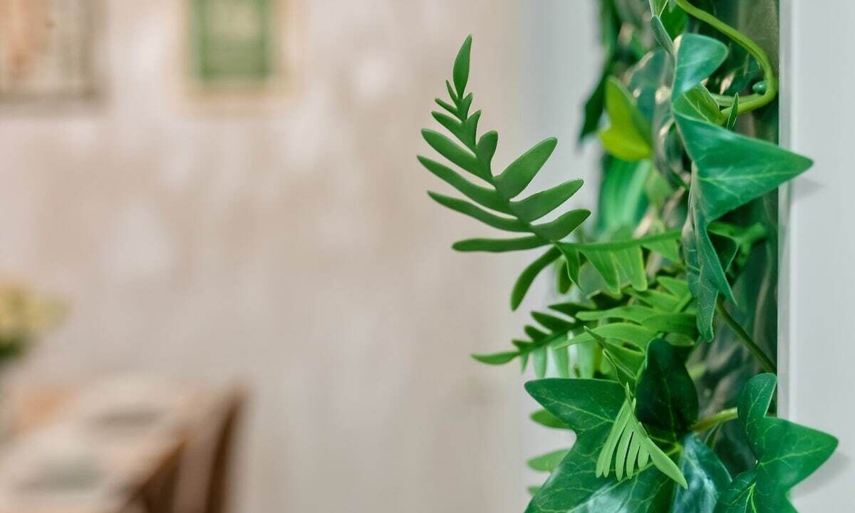 Photo of Others in Newborough