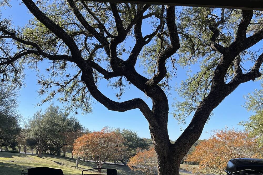 Photo of Outdoor in Barton Creek Lakeside
