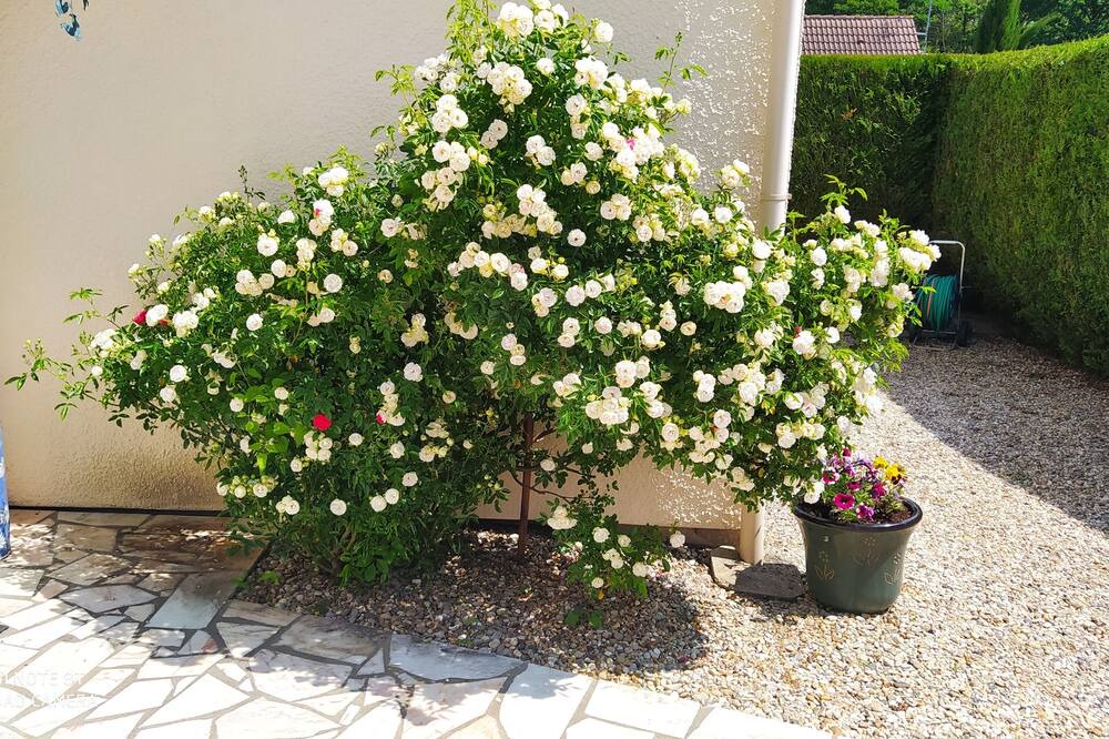Photo of Outdoor in Neauphle-le-Vieux