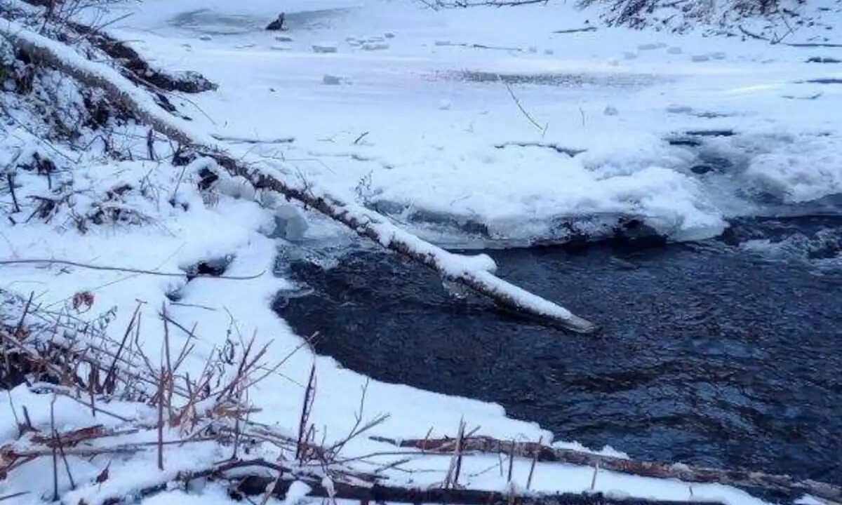 Photo of Others in Negaunee