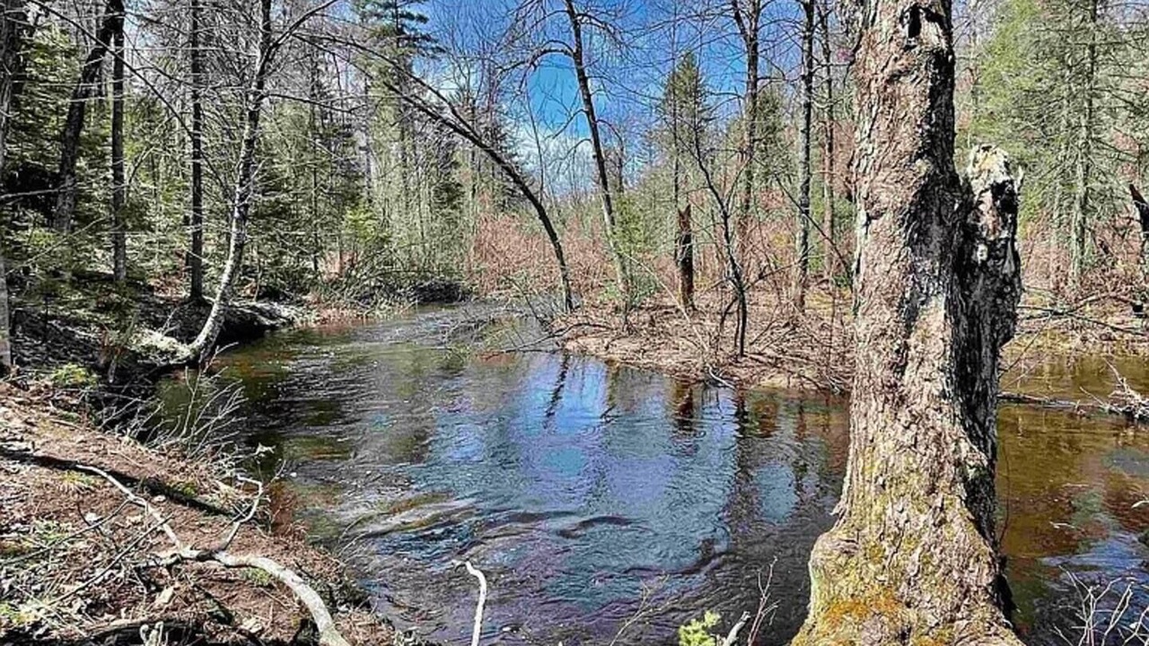 Photo of Others in Negaunee