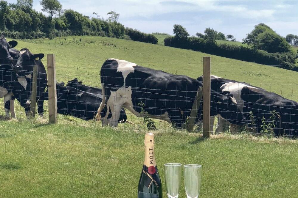 Photo of Others in West Down