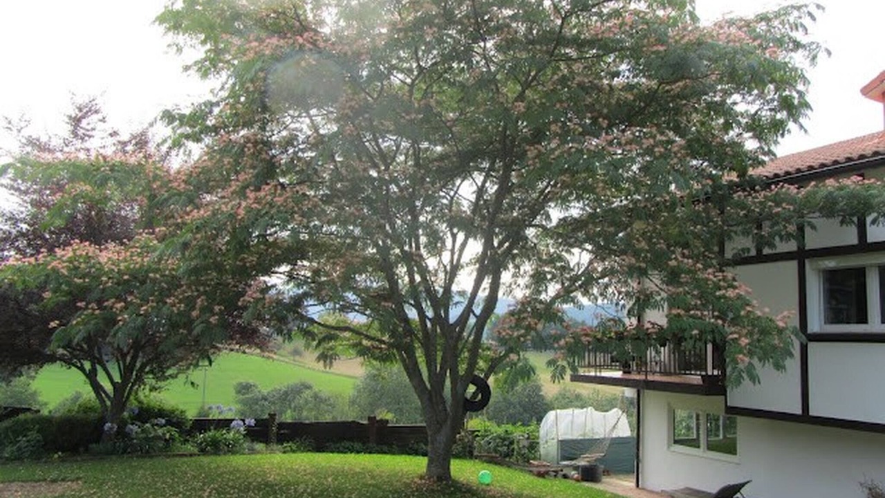 Photo of Outdoor in Vera de Bidasoa