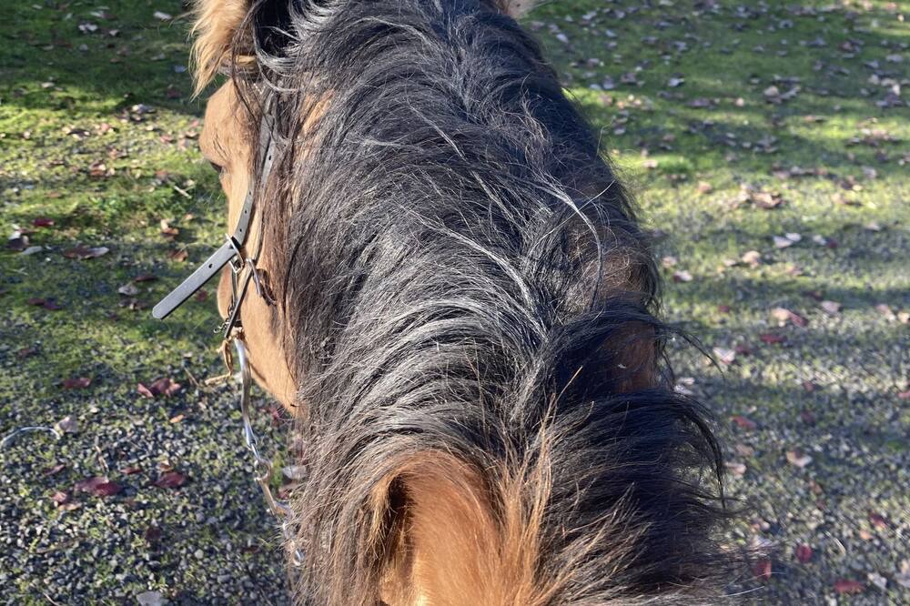 Photo of Others in Eagle Point