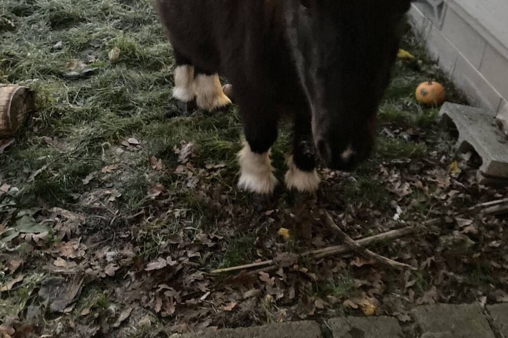 Photo of Others in Eagle Point