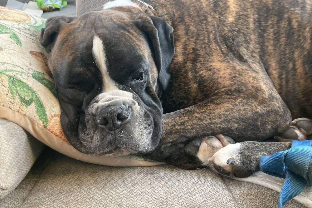 Photo of Others in Eagle Point