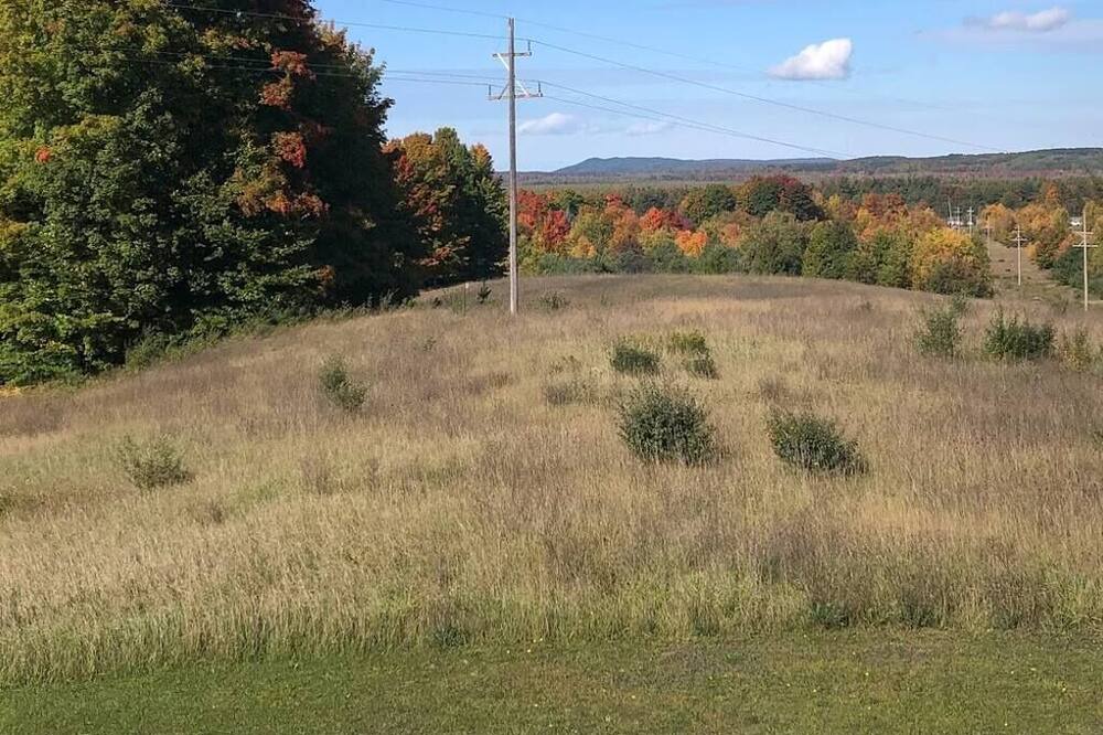 Photo of Outdoor in Beulah