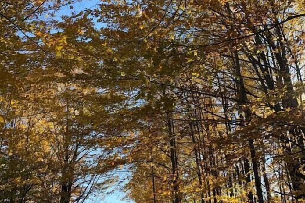 Photo of Outdoor in Beulah