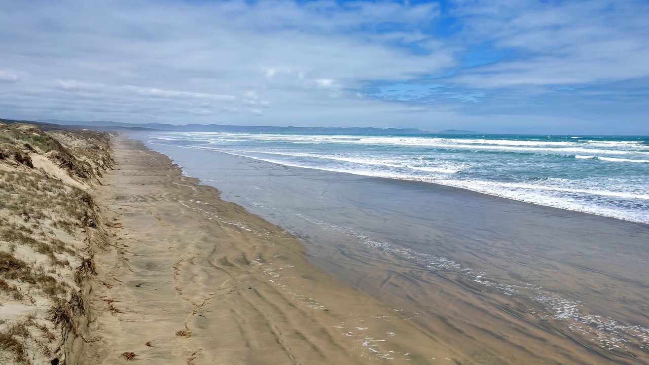 Photo of Others in Waipapakauri