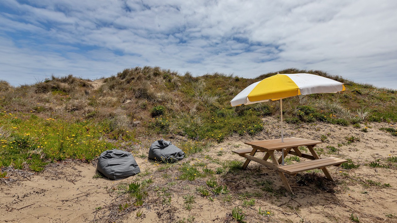 Photo of Outdoor in Waipapakauri