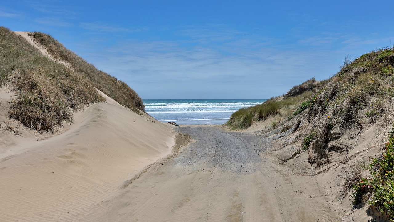 Photo of Others in Waipapakauri