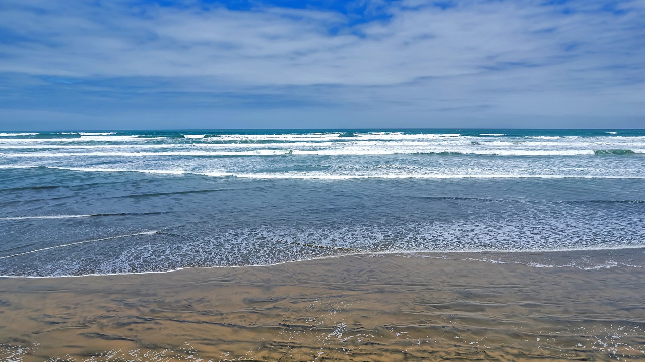 Photo of Others in Waipapakauri