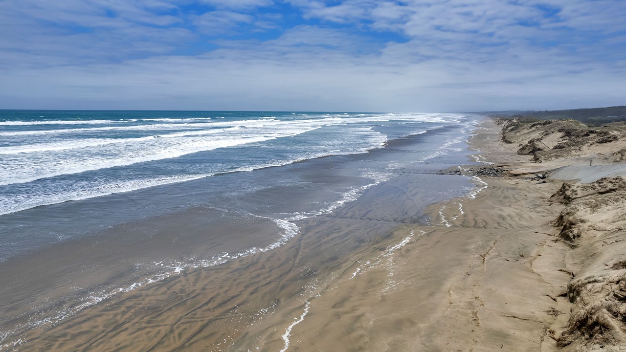 Photo of Others in Waipapakauri