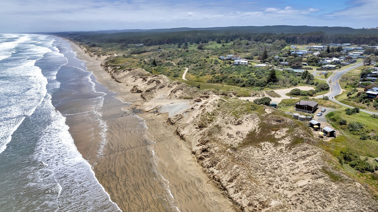 Photo of Others in Waipapakauri