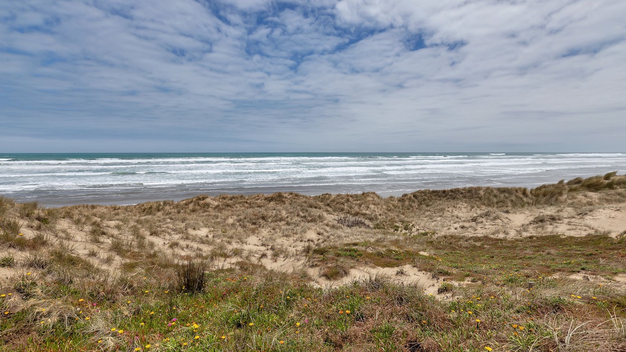 Photo of Others in Waipapakauri