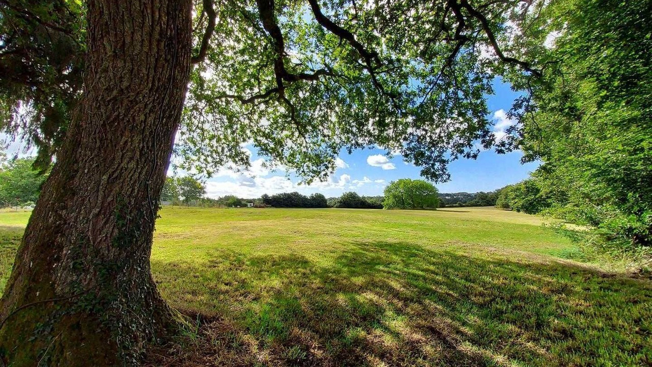 Photo of Others in Pluneret