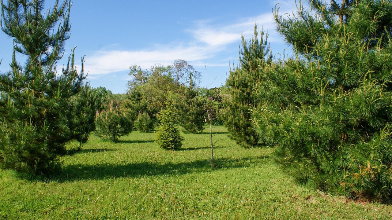 Photo of Outdoor in Gontaud