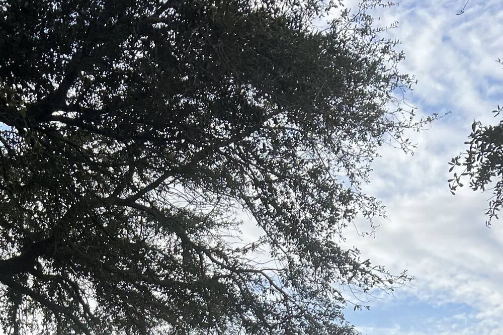 Photo of Outdoor in Lake Providence